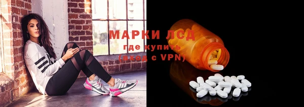 индика Володарск