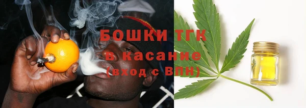 индика Володарск