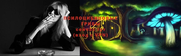индика Володарск