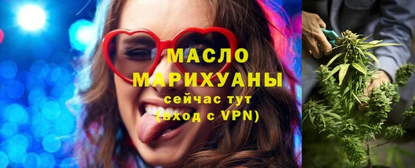 индика Володарск