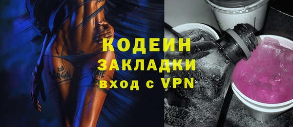 прущий лед Вяземский