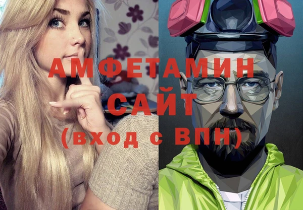 индика Володарск