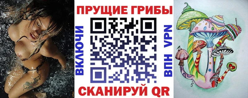 блэк спрут ссылки  Духовщина  Галлюциногенные грибы GOLDEN TEACHER 